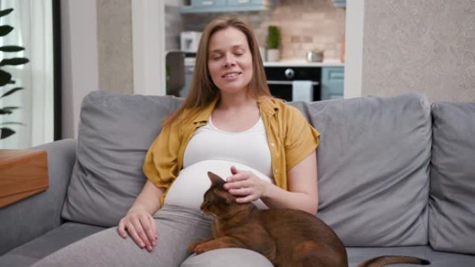 可爱可爱的30多岁的女人坐在沙发上抚摸有趣的猫。年轻怀孕的妈妈在家里放松，享受瞬间生活。平静的家庭休