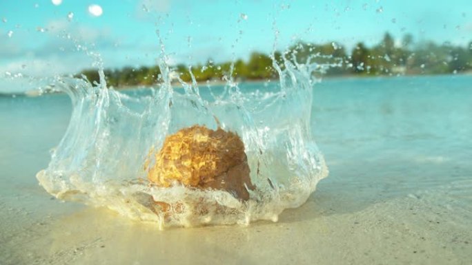 慢动作: 毛茸茸的椰子从树上掉下来，降落在玻璃水中。