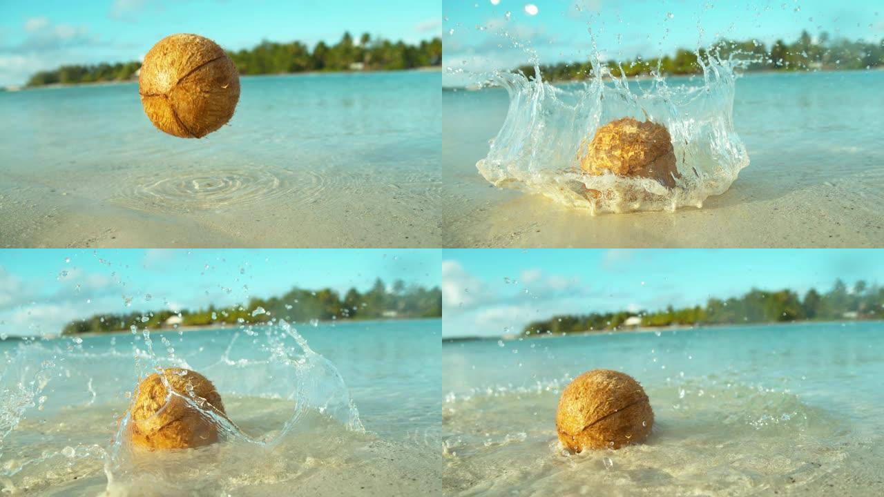 慢动作: 毛茸茸的椰子从树上掉下来，降落在玻璃水中。