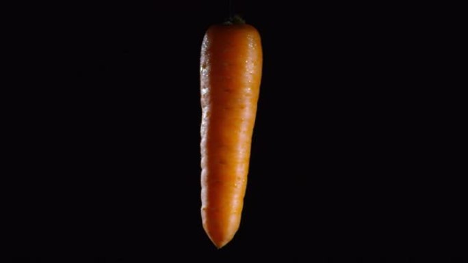 黑色背景上漂浮的新鲜胡萝卜