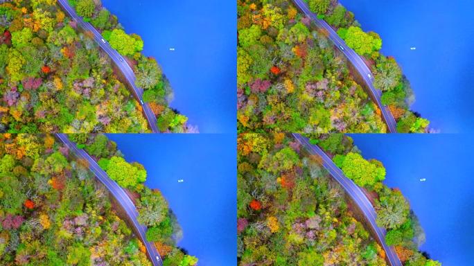 日本乡村道路秋季森林和蓝湖道路的架空鸟瞰图