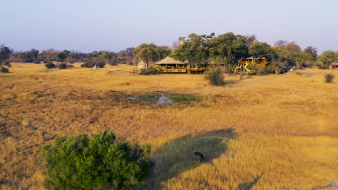 博茨瓦纳奥卡万戈三角洲图鲁迪野生动物园营地前的一群Lechwe放牧的鸟瞰图