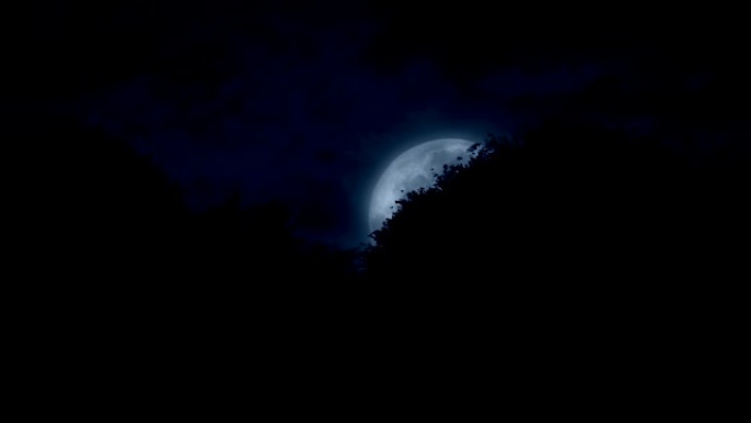 月亮从树后升起月亮慢慢出现从无到有