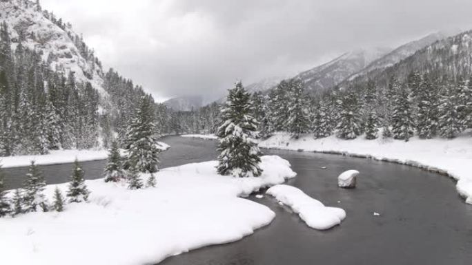 无人机: 加拿大山间溪流周围的云杉森林的风景。