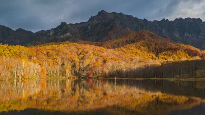 在日本长野的秋季，与Kagamiike池塘的dolly right的4k时间流逝。