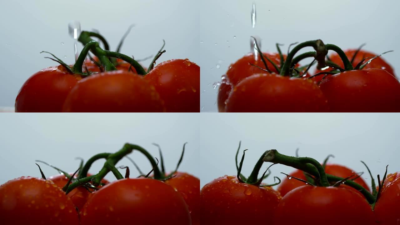 将水倒在红色西红柿上