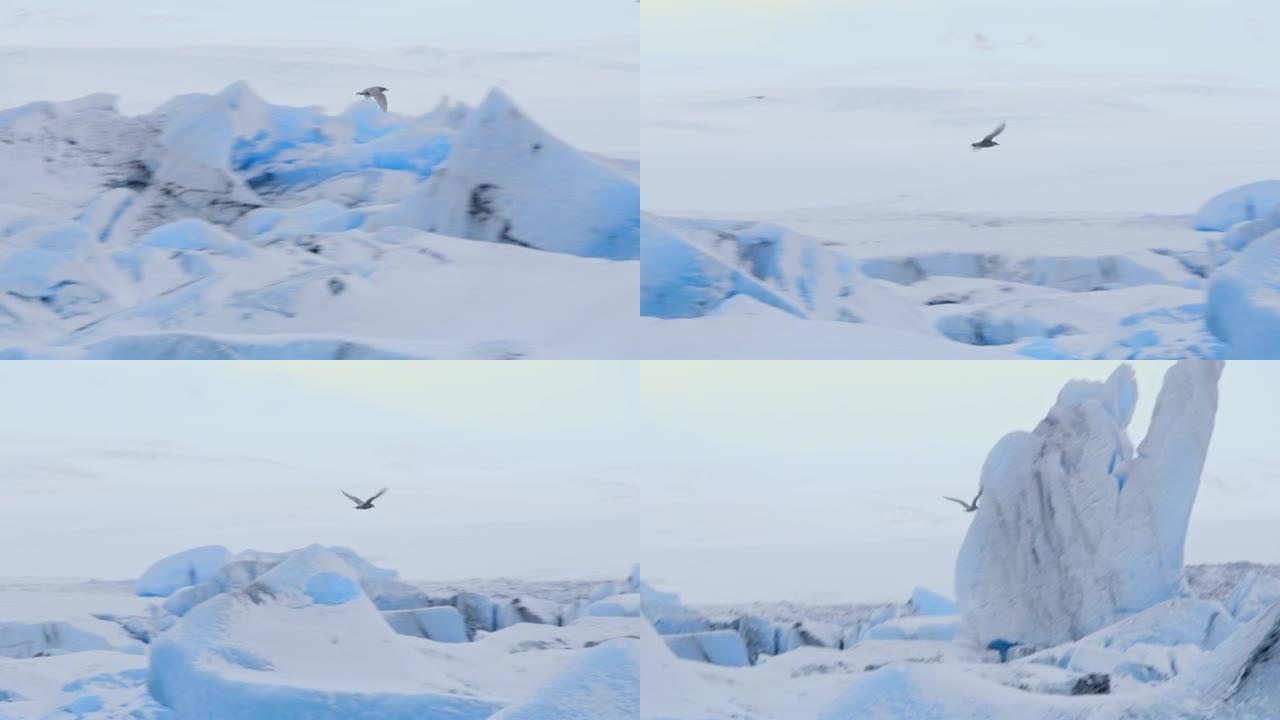伯德女士飞越冰岛约克尔萨隆泻湖的冰山