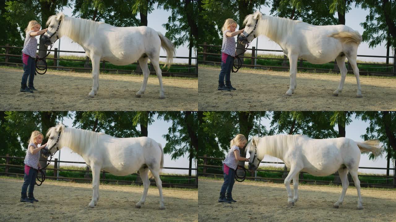 真实的照片，一个可爱的小女孩在阳光下骑在马厩里抚摸着一匹白马