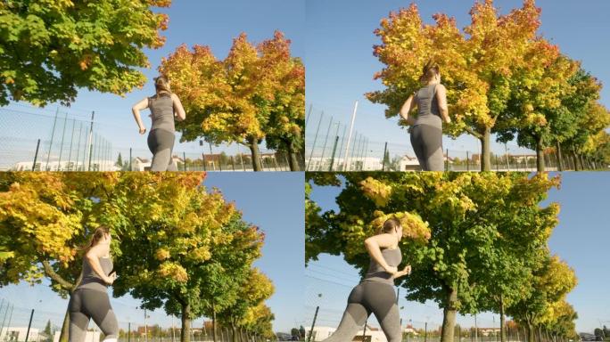 低角度，特写: 适合年轻女子沿着风景秀丽的秋季彩色大道慢跑。