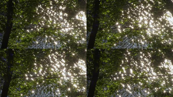 早晨的阳光通过树木的绿叶反射在河中。摘要，夏季概念拍摄。UHD, 4K