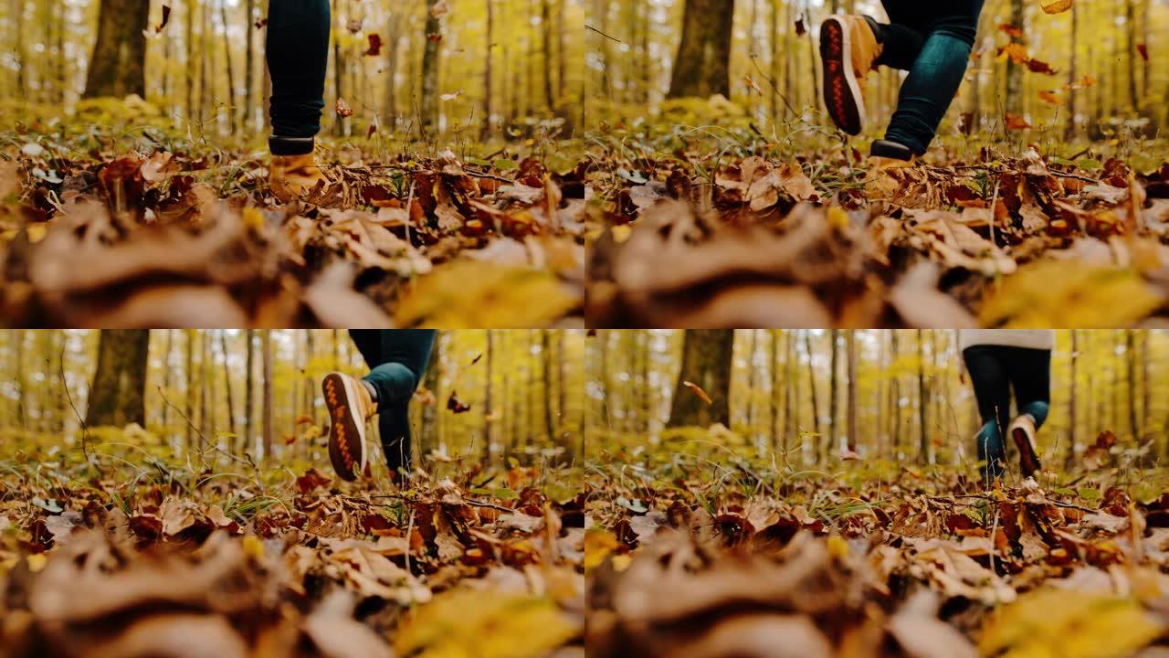 女士在田园诗般的森林中穿越秋叶
