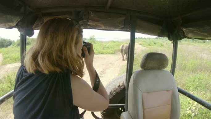 女士用相机拍摄斯里兰卡野生动物园车辆在阳光明媚的土路上的大象