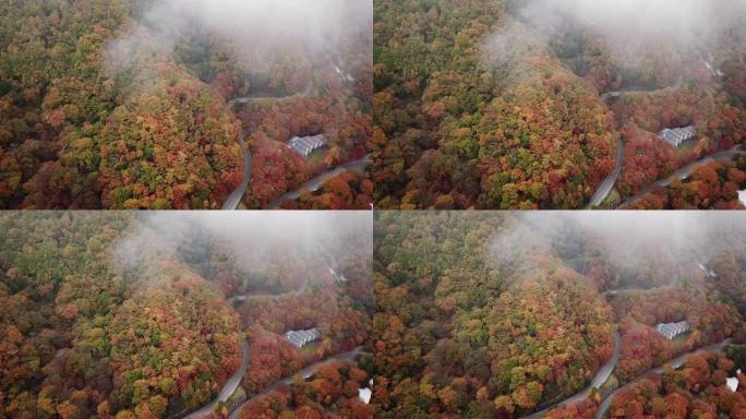 日本秋季森林变色的空中拍摄