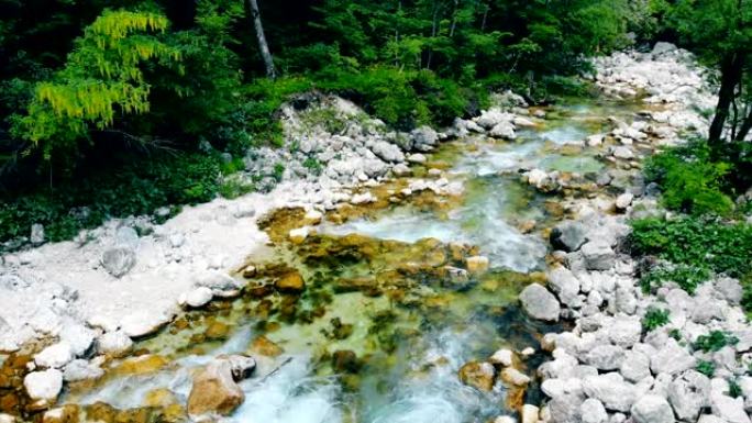 森林中的岩石中的山河中的淡水。
