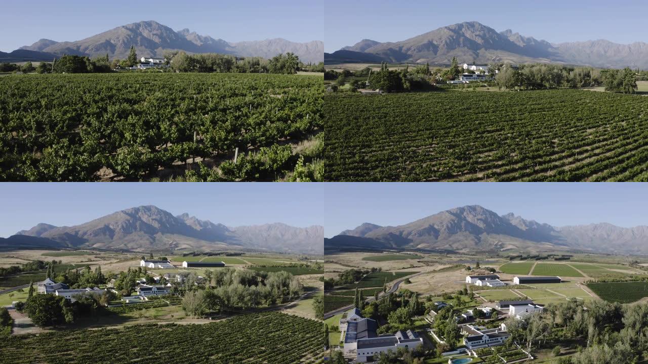 南非西开普省一个葡萄酒庄园的葡萄园、酿酒厂和家园的4k美丽风景鸟瞰图