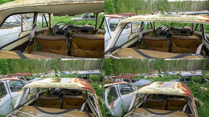 森林里汽车垃圾场上的旧生锈汽车。摄像机从车内向后移动到车外。Steadicam镜头，4K