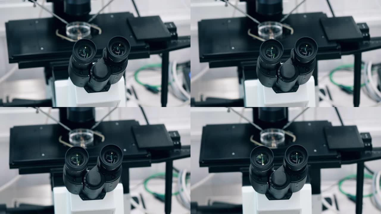 研究期间显微镜的眼透镜