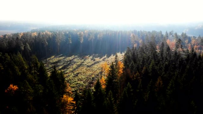 无人机在神秘的阳光明媚的秋天田野和覆盖着日出薄雾的森林斑块上飞行，镜头耀斑全景。