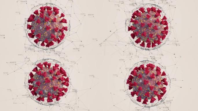 冠状病毒新型冠状病毒肺炎科学模型插图无缝。2019-ncov电晕病毒特写三维动画与网格技术数字结构旋