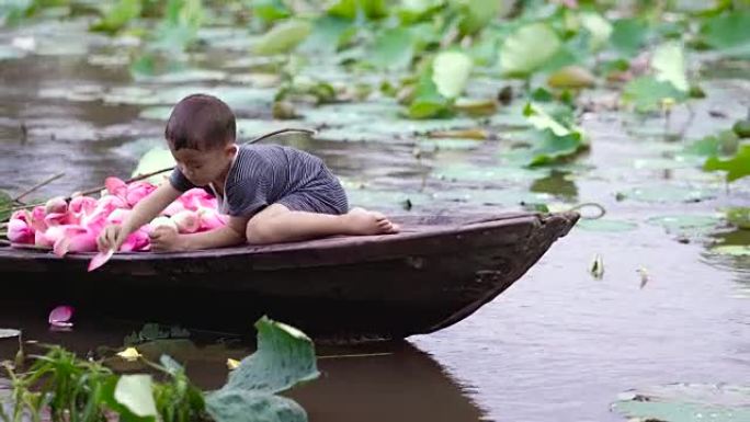 越南男孩在传统木船上玩粉红色莲花花瓣的4k镜头，妈妈在越南同塔省Thap Muoi的大湖中paddi