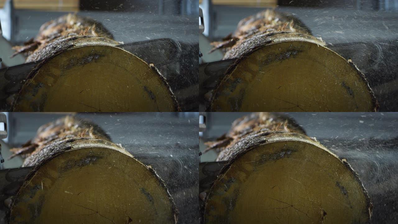 在木材工厂的车间里，专业工人用电锯锯树干的宏观特写。