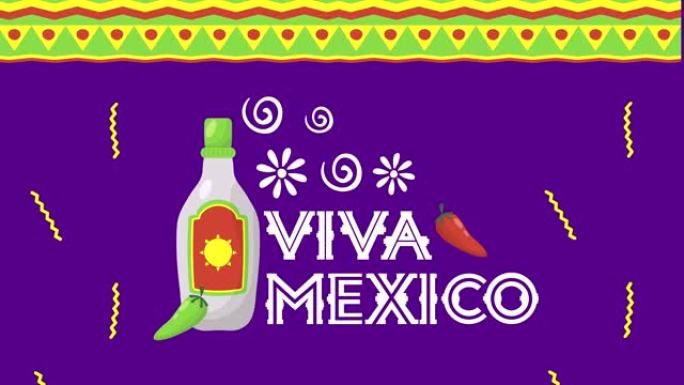 龙舌兰酒瓶viva墨西哥动画