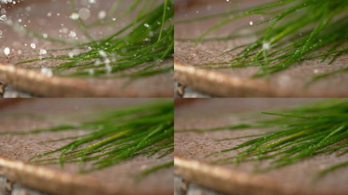 宏观，慢动作: 有机细香葱的长茎撞向浅水。