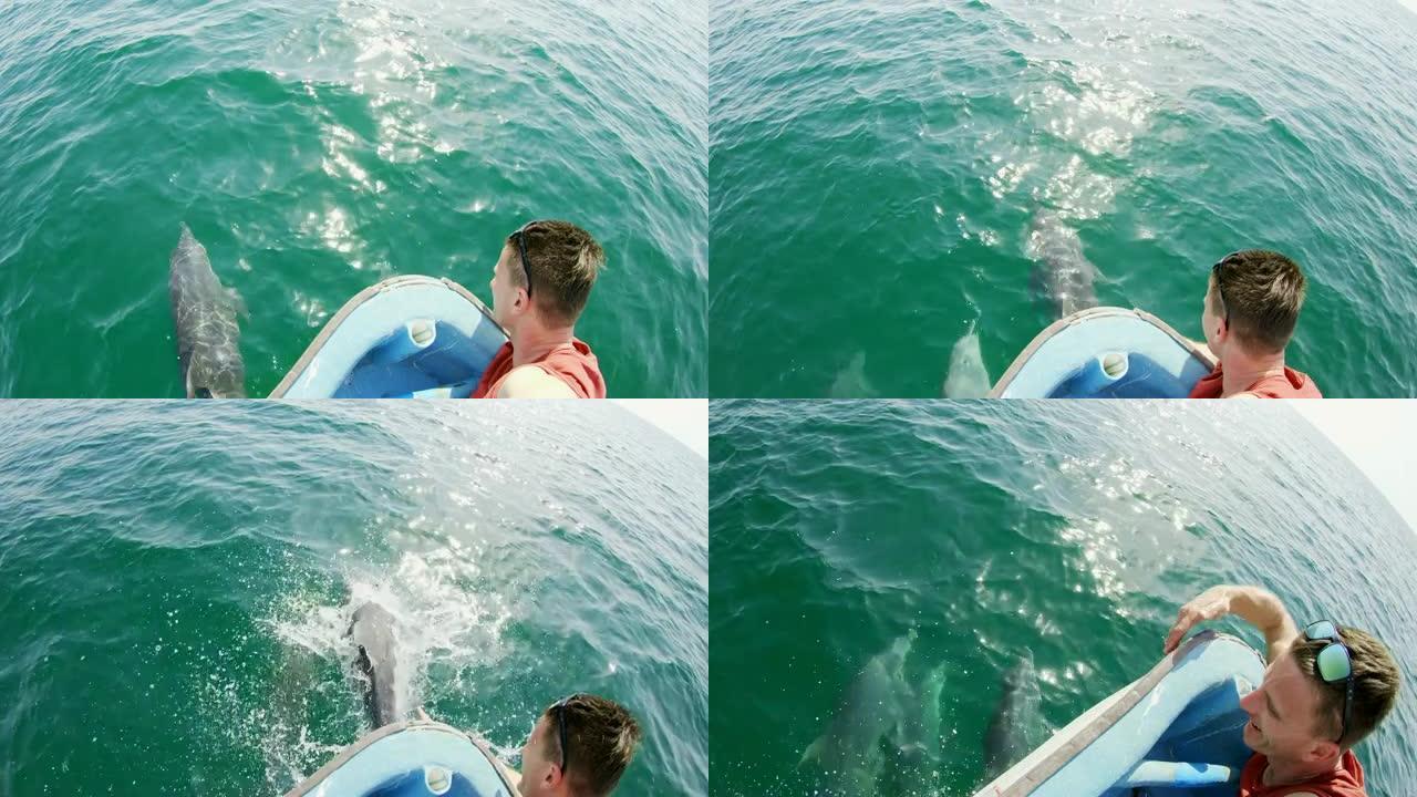 POV游客从船上看海豚很开心