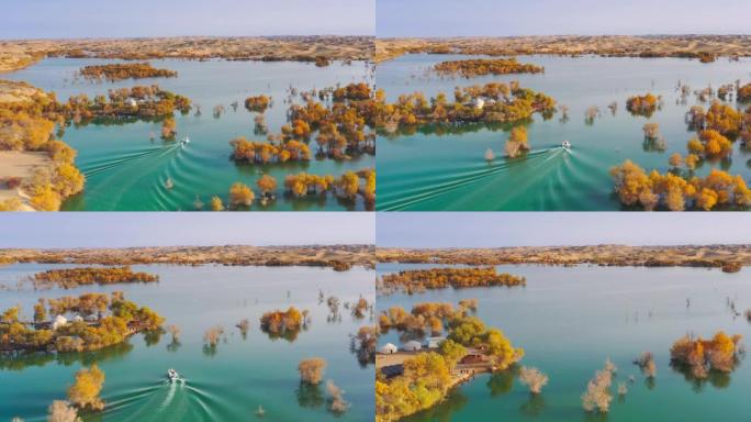 新疆鸟瞰图秋季景观水上树木游艇航行