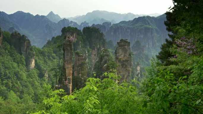 中国湖南张家界武陵源风景名胜区悬崖平移镜头。4K, UHD
