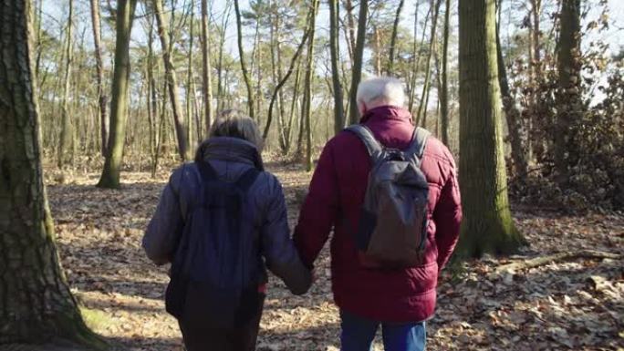 深情的高级夫妇在森林徒步旅行