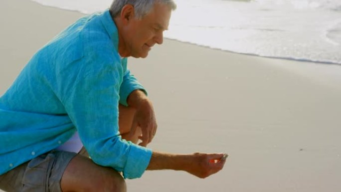 活跃的高加索高级男子在海滩上拿着贝壳的侧视图4k