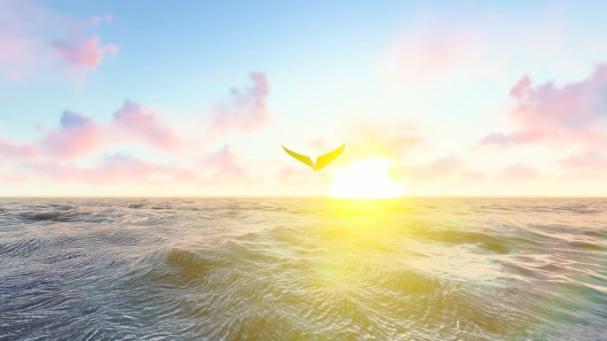 纸飞机迎着太阳穿越海平面奔向自由和远方