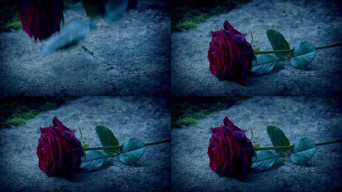 罗斯在晚上上坟玫瑰花、死亡、战争、