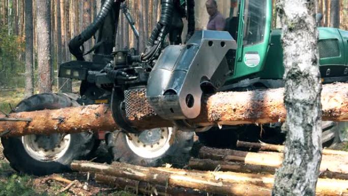 产业机制正在砍伐树干