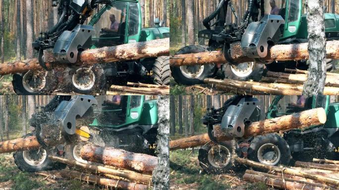 产业机制正在砍伐树干