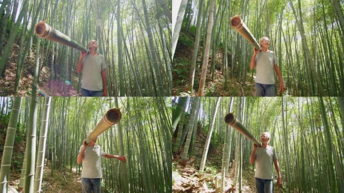 控制森林中竹树的老年工人的慢动作用作可再生可持续能源和不同类型的生态友好型绿色产品
