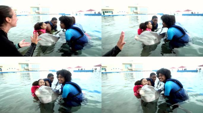 海豚在水中的家庭和教练