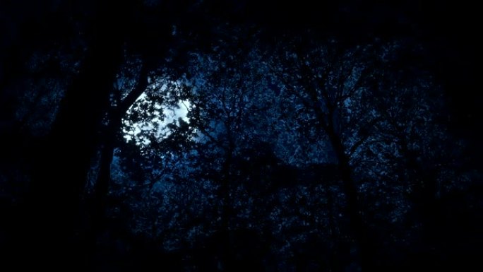 森林后面的巨大恐怖月亮发光