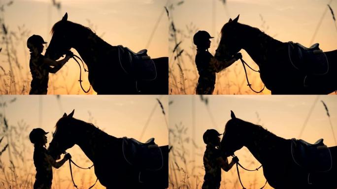 人类和动物的爱情概念。日落背景上的骑手和马匹，侧视图。