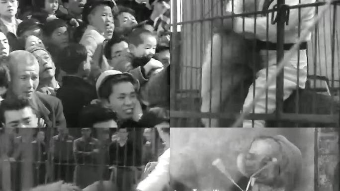 1952年日本 马戏团 动物表演