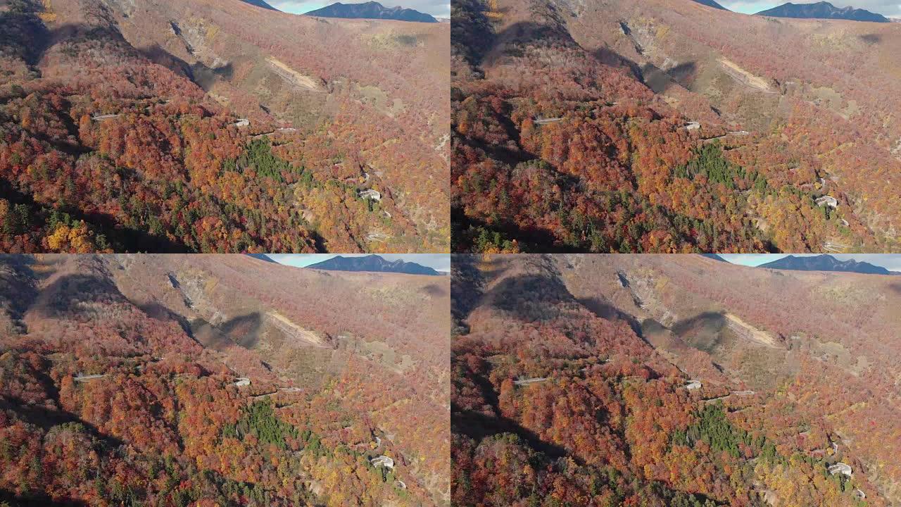 日本日光秋季，多莉在伊罗哈坂第一蜿蜒道路前的鸟瞰图。