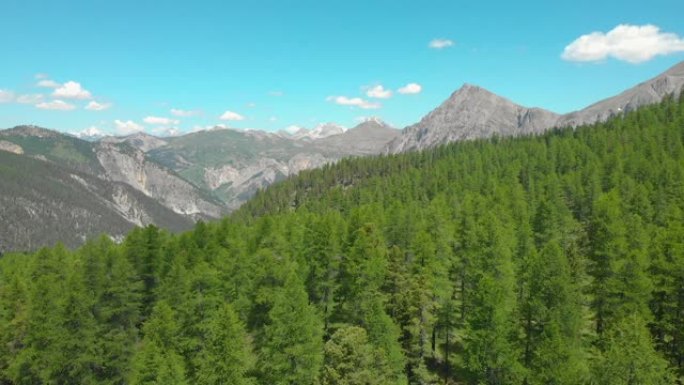 空中: 美丽的法国阿尔卑斯山鸟瞰图，无尽的森林和蓝天