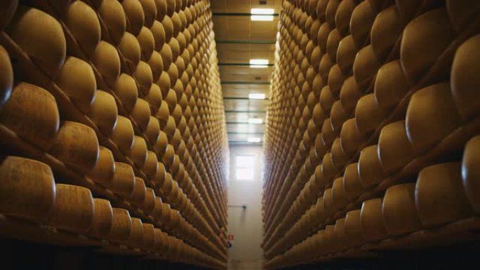 慢动作滑块视图帕尔马干酪的许多轮子在仓库的货架上成熟了许多个月的古老意大利传统