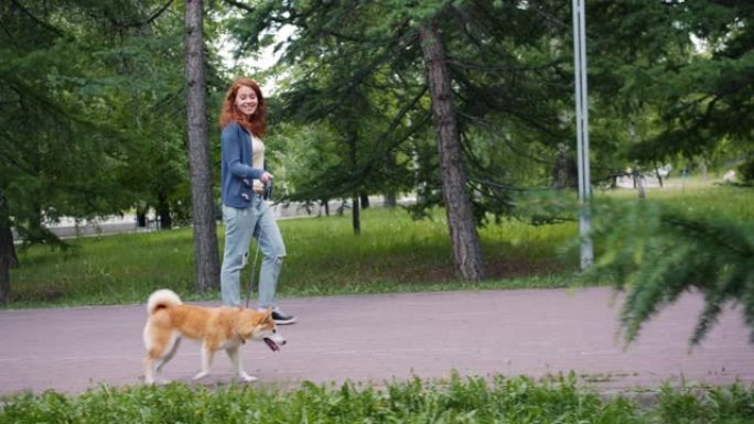 夏日在公园散步柴犬的漂亮女人的慢动作