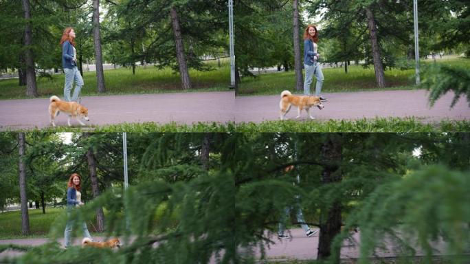 夏日在公园散步柴犬的漂亮女人的慢动作