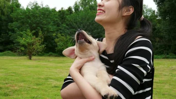 快乐的年轻亚洲女人在户外草坪上抱着她的小狗拉布拉多，4k