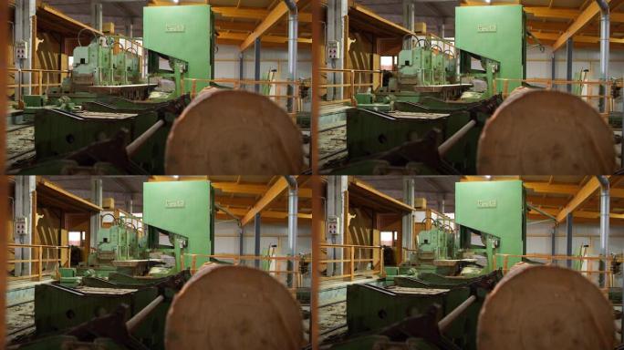 原木的木板正在用工业锯木厂锯切。