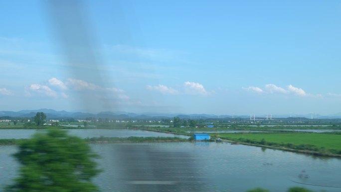 高铁窗外 湖水 稻田 田园乡村