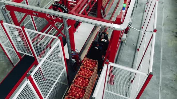 西红柿正在被运送到工业建设中。工业包装设备，工厂设施。